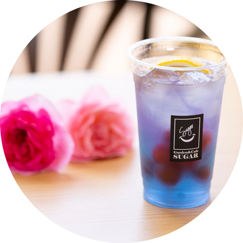 バタフライピー